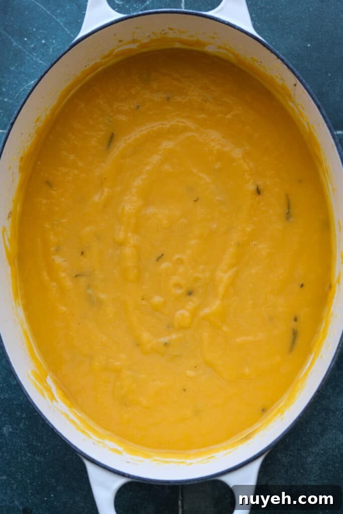 Creamy One-Pot Roasted Butternut Squash Soup Recipe 6 img 80732 5