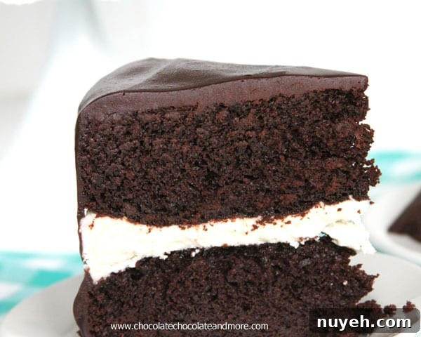 Copycat Ding Dong Cake Recipe with Chocolate Filling 5 Ding Dong Cake-rich devil's food cake, a vanilla cream filling and smothered in chocolate ganache!