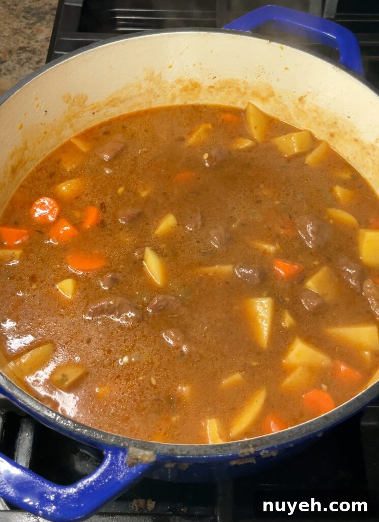 Hearty Beef Stew (Stove Top)