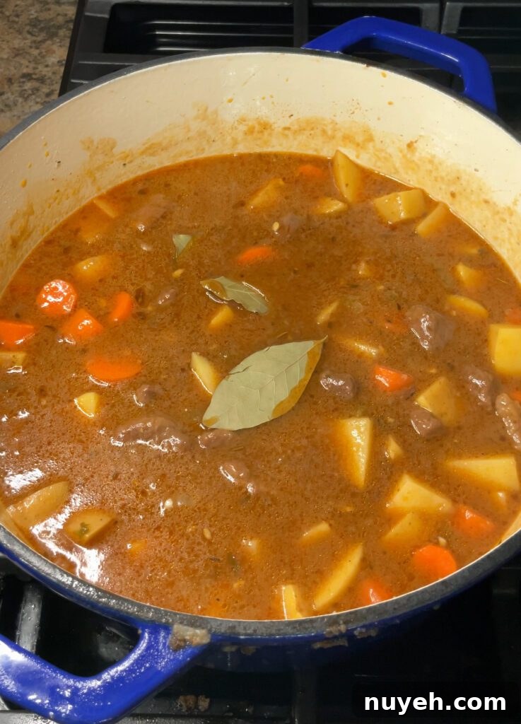 Hearty Beef Stew (Stove Top)