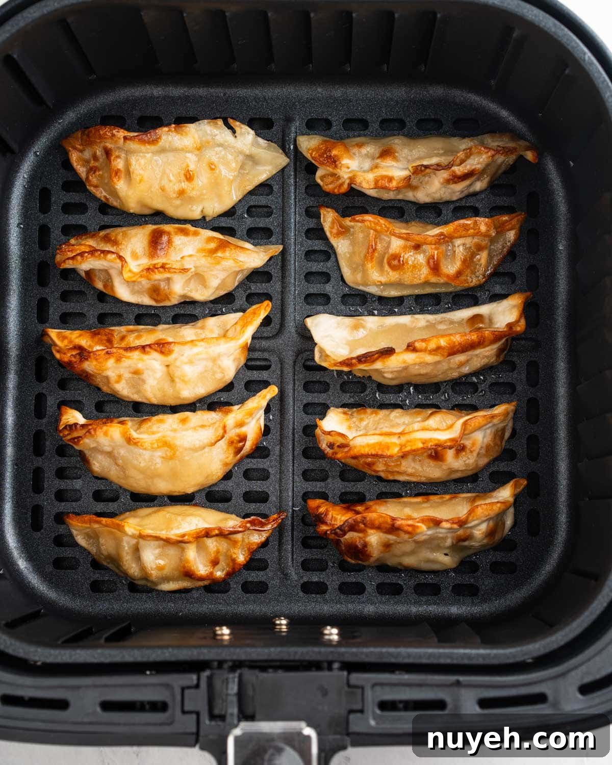 crispy dumplings in air fryer basket.
