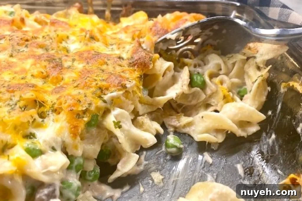 tuna casserole
