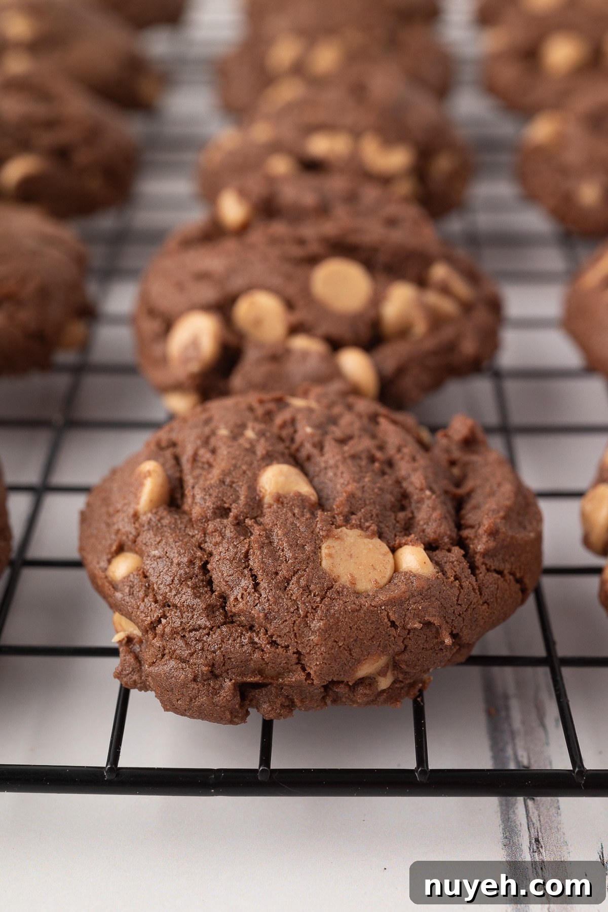 Closeup of a baked cookie showing the contrast of the chocolate and peanut butter chips.
