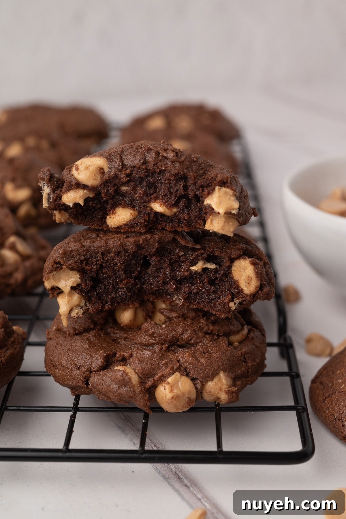 Soft, fudgy center cookies with creamy peanut butter chips throughout.