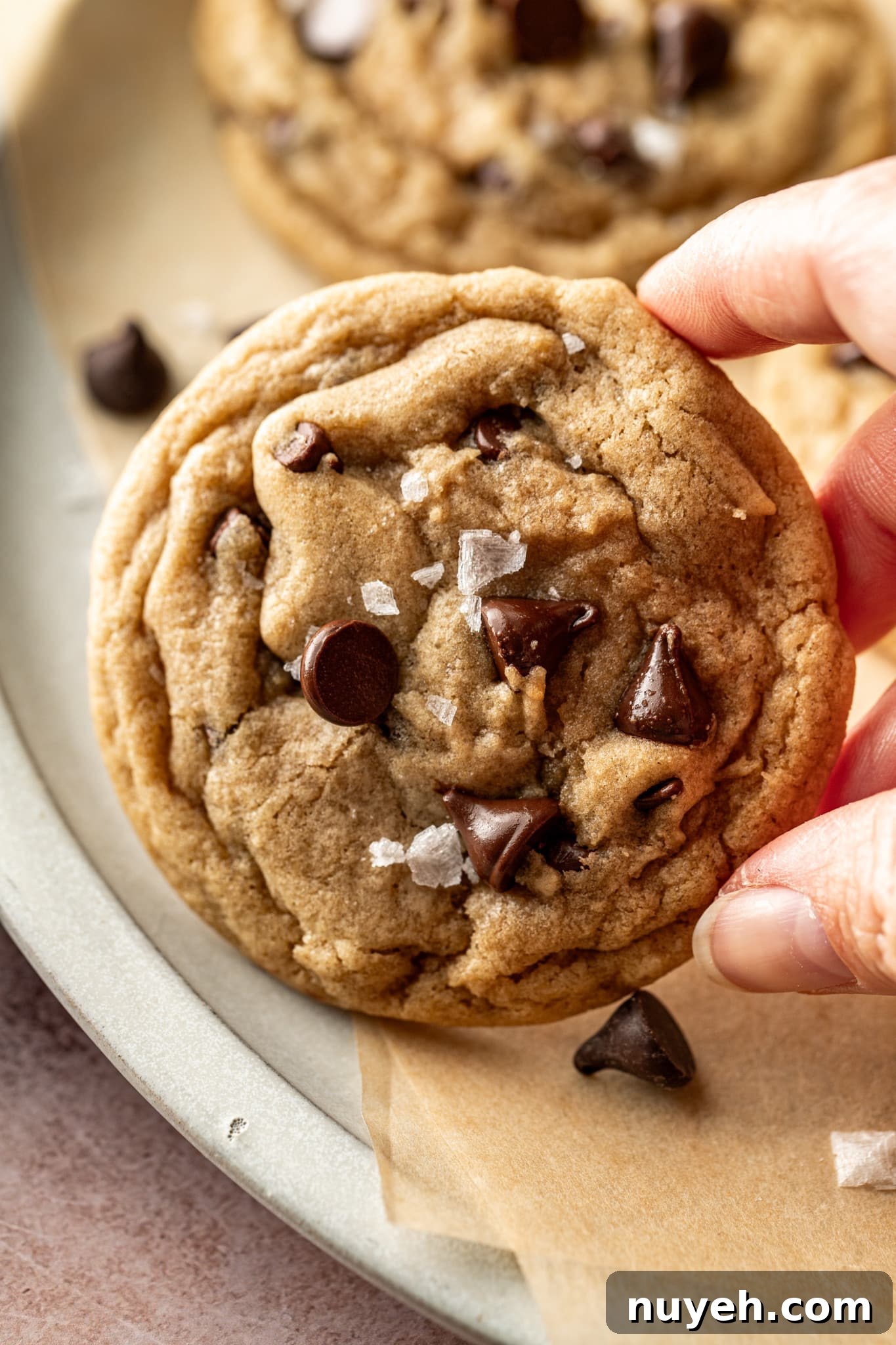 Small batch chocolate chip cookies on a plate