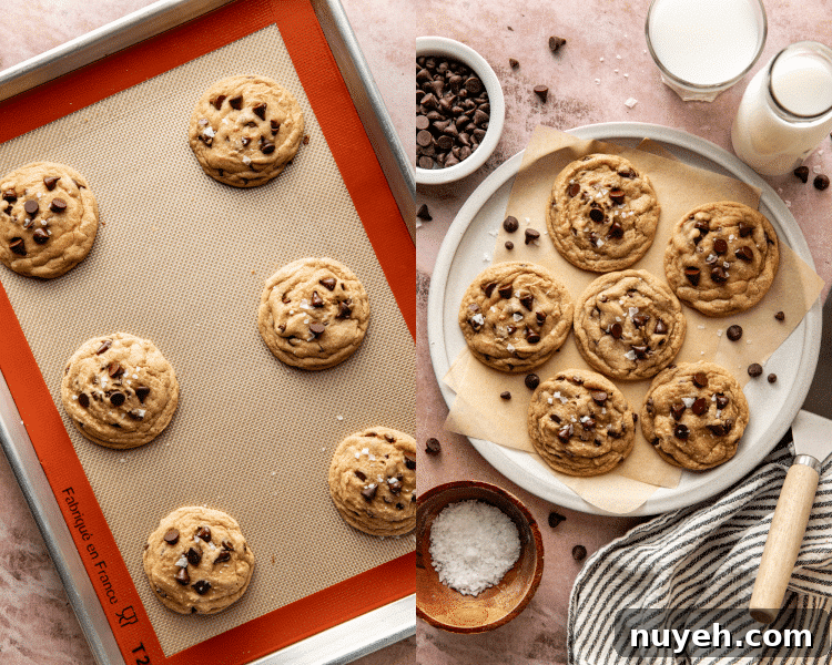 Freshly baked cookies on a plate