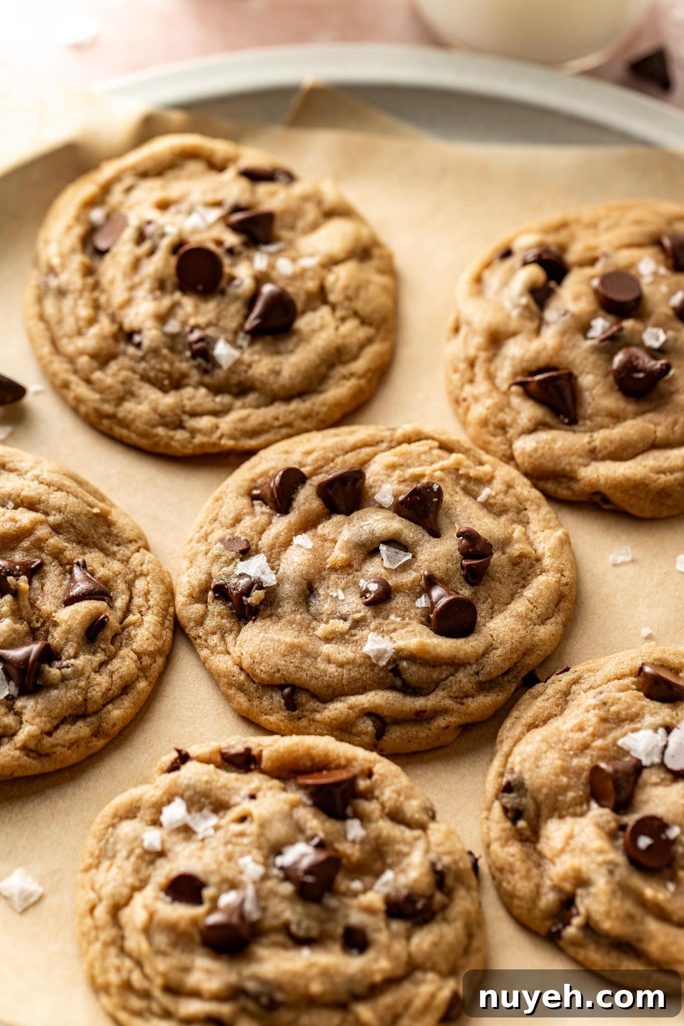 Close-up of chocolate chip cookies