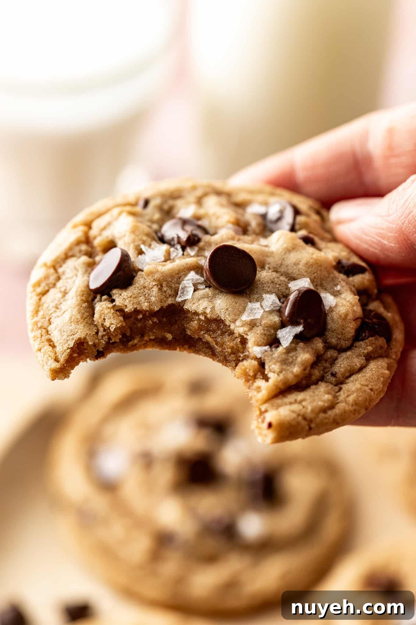 Baked cookies on a tray