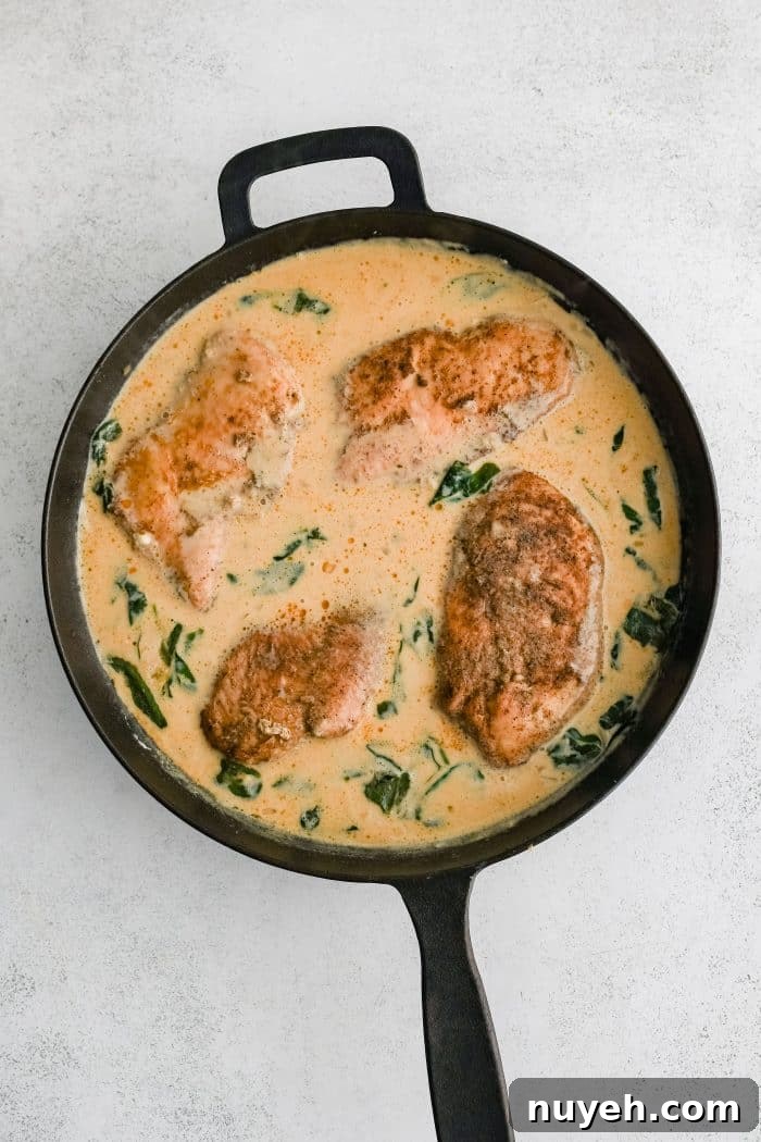 Well-seasoned and cooked chicken cutlets nestled into a large cast-iron skillet filled with simmering boursin cheese sauce with spinach and onions.