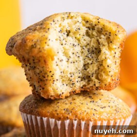 orange poppy seed muffins with a bite on top of another muffin