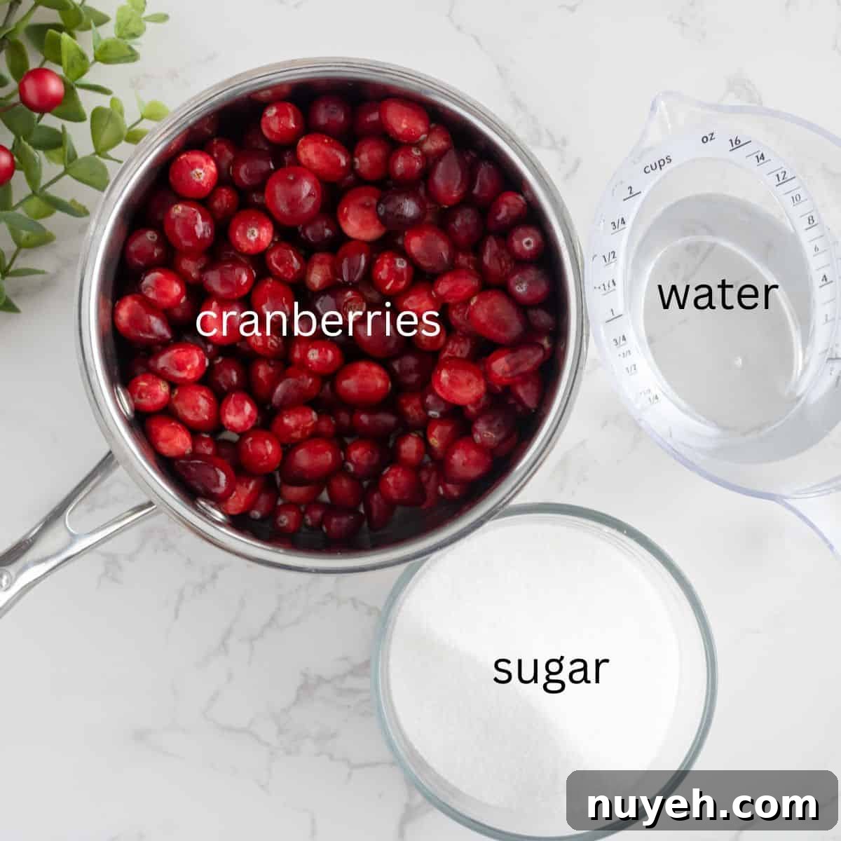 cranberries, water and sugar on a table.
