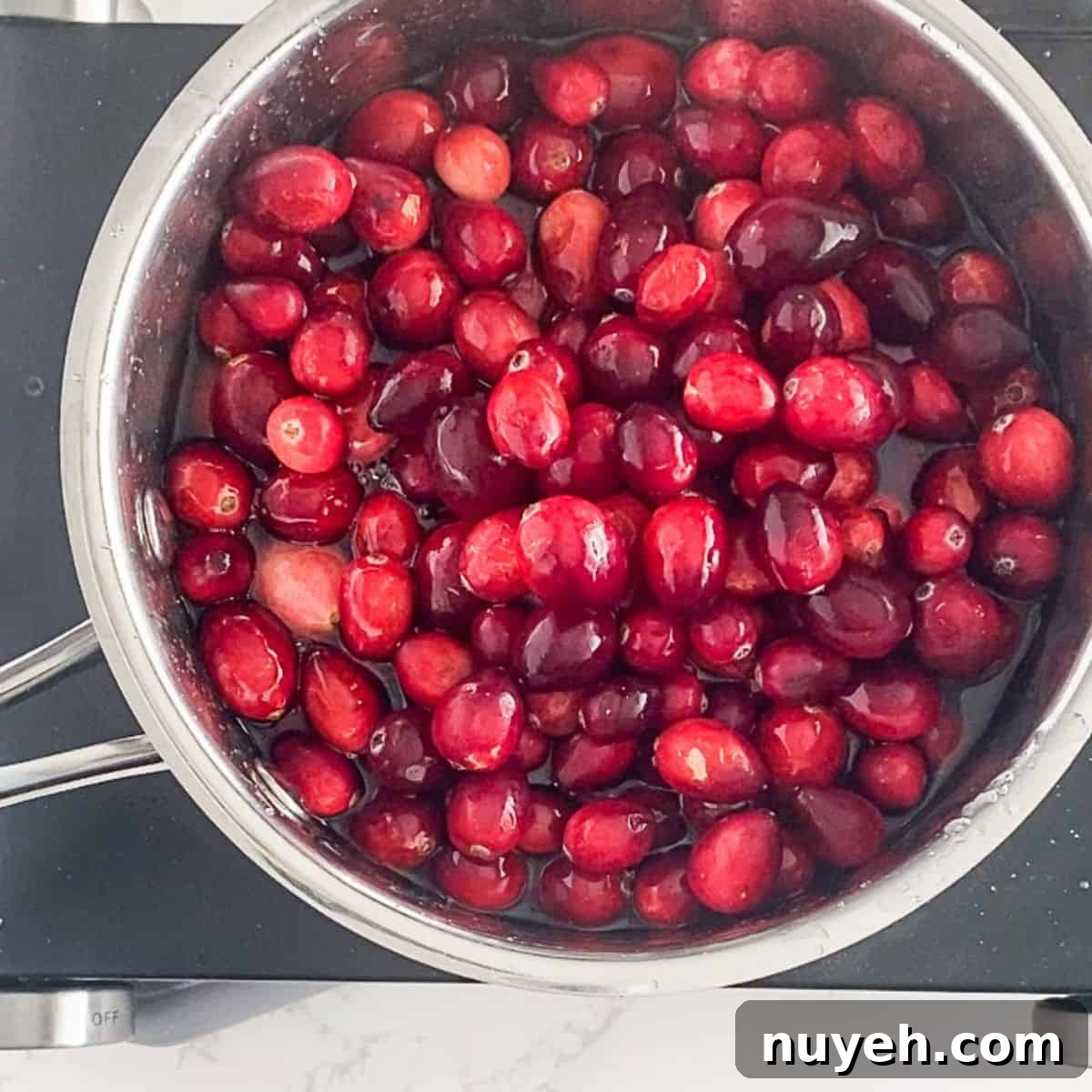 cranberries sugar and water in a saucepan.
