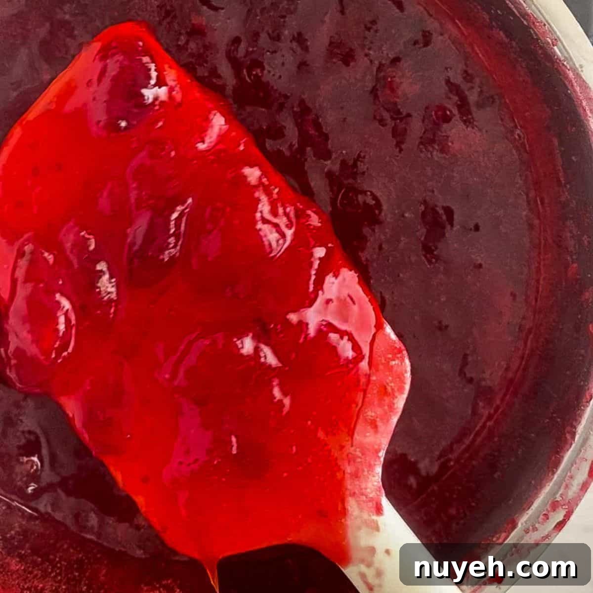 cranberry sauce on a spatula.