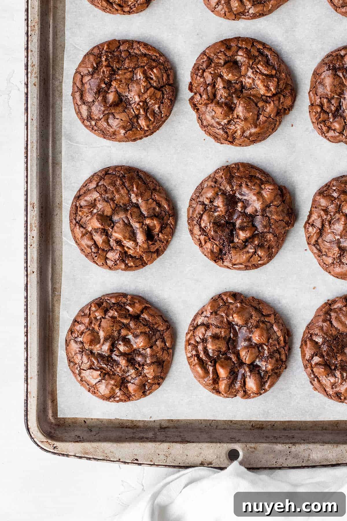 double chocolate crinkle cookies on baking sheet
