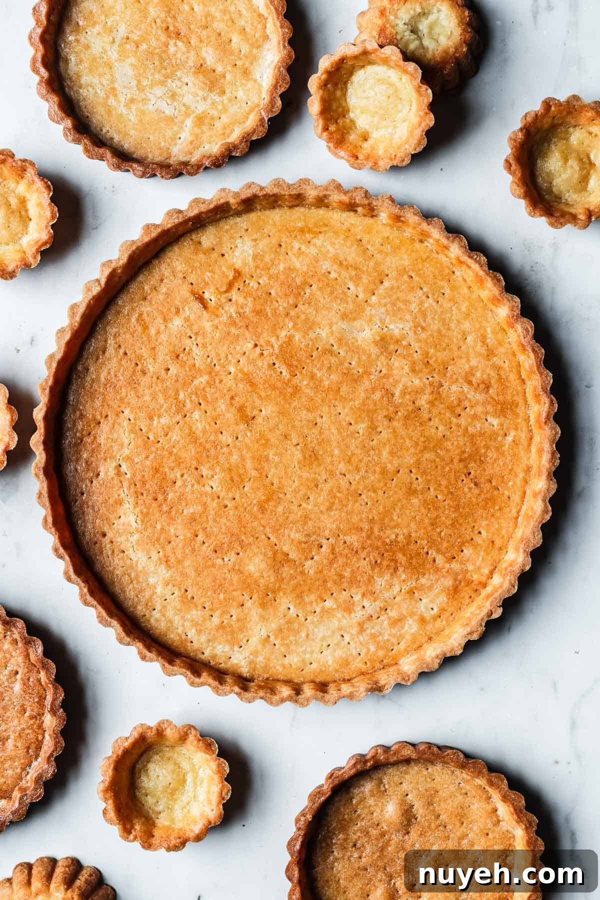 A golden brown baked pate sucree surrounded by mini tart crusts and even smaller tartlet crusts.