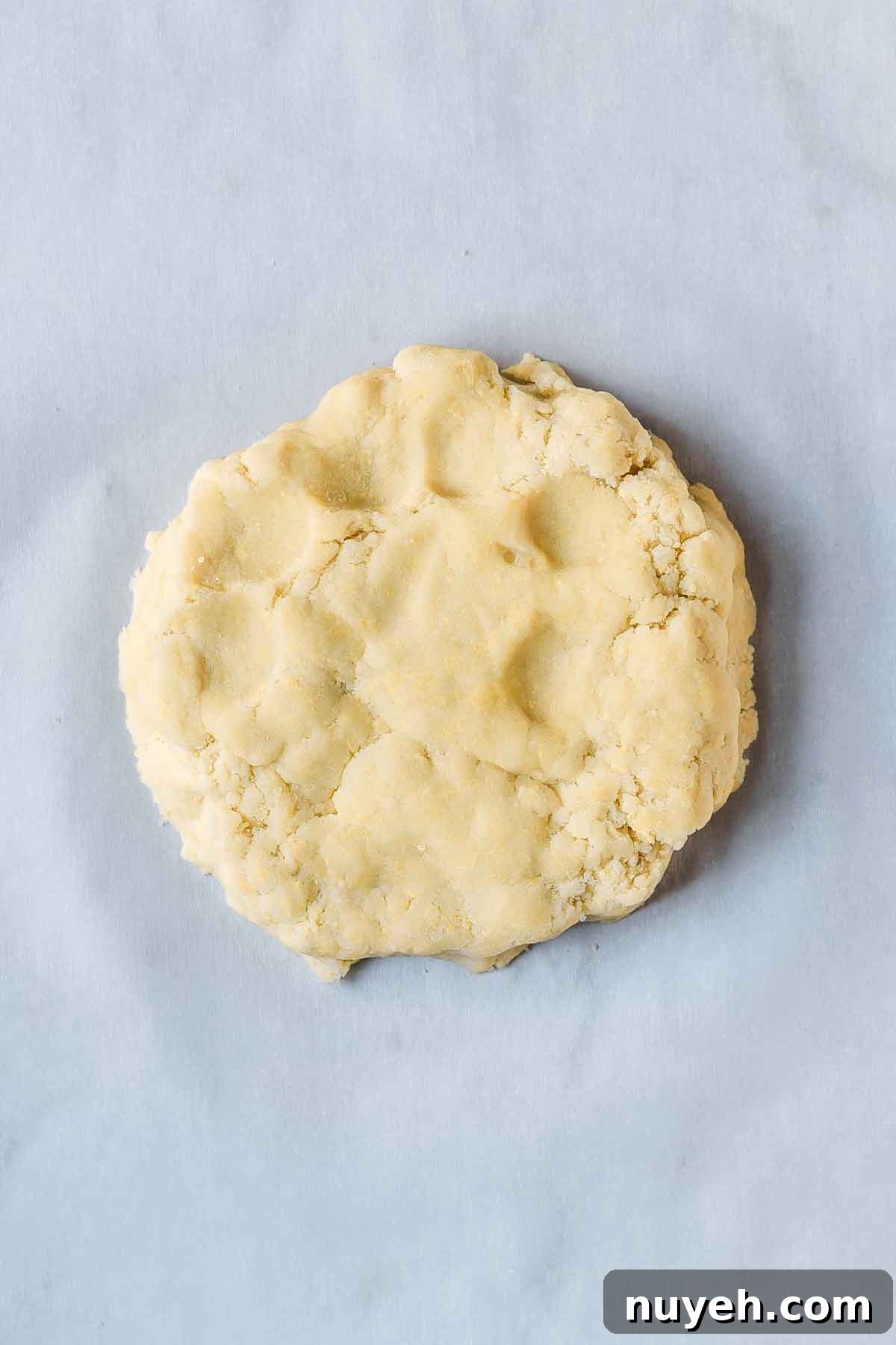 Pate sucree dough gathered into a disc.