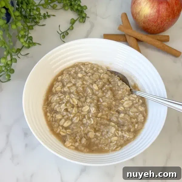 plain bowl of cooked oatmeal from homemade pack shows texture of large flakes and creaminess of blended ingredients