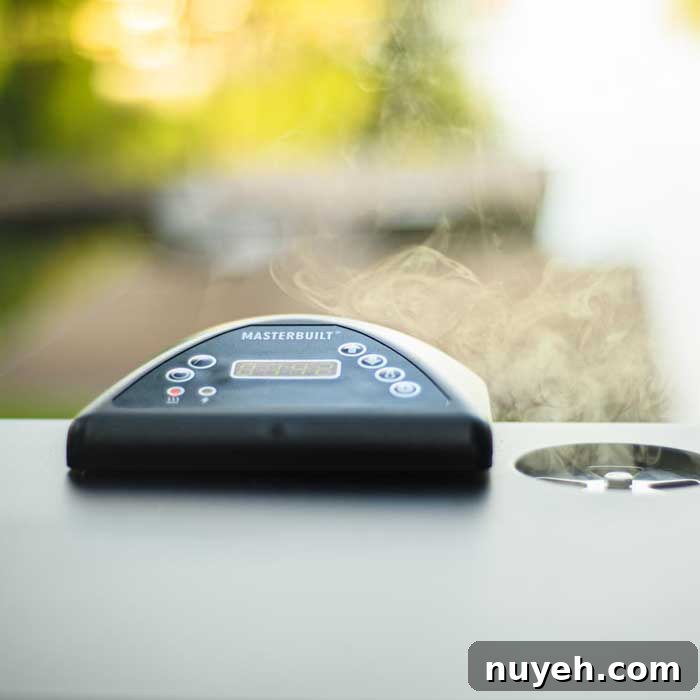 temperature gauge on electric smoker chamber
