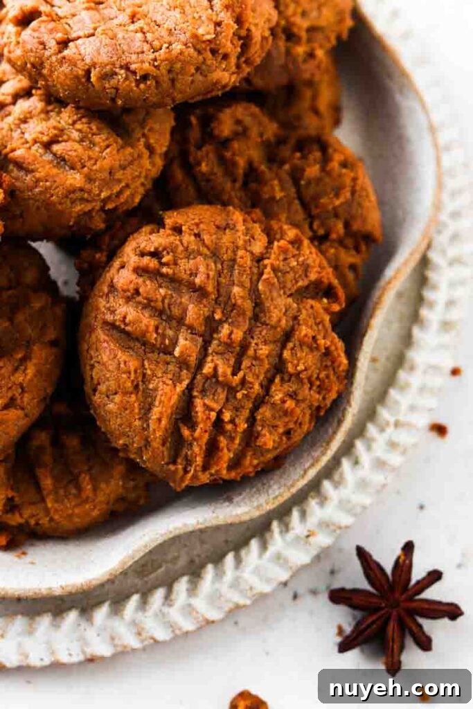 dairy free peanut butter cookies 1 1 dairy free peanut butter cookies on a plate