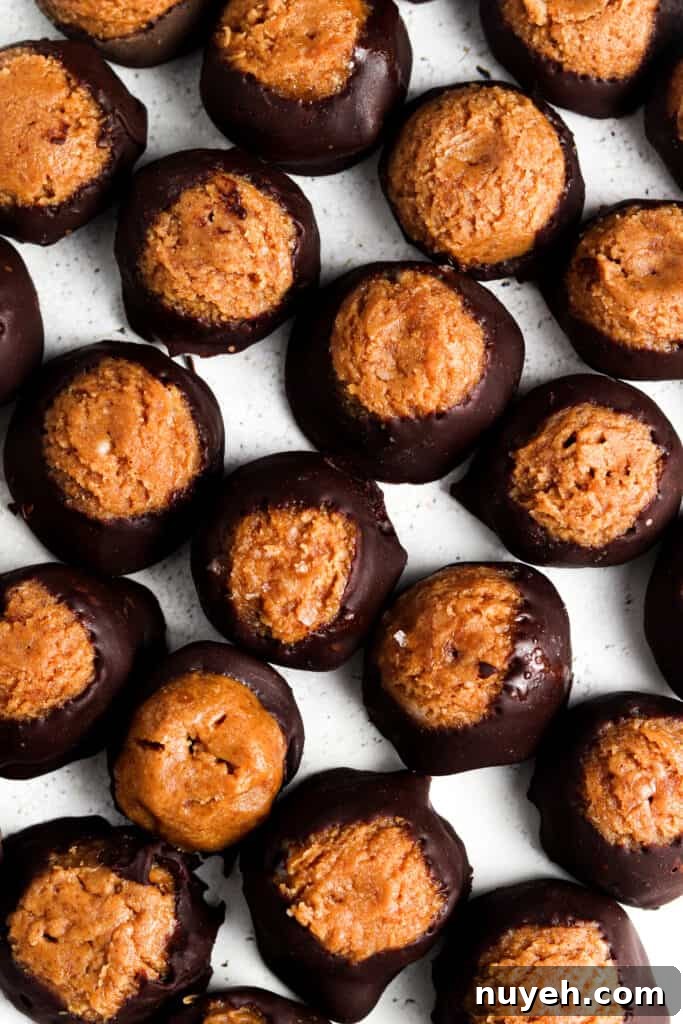 vegan buckeyes 4 scaled vegan buckeyes 4 scaled