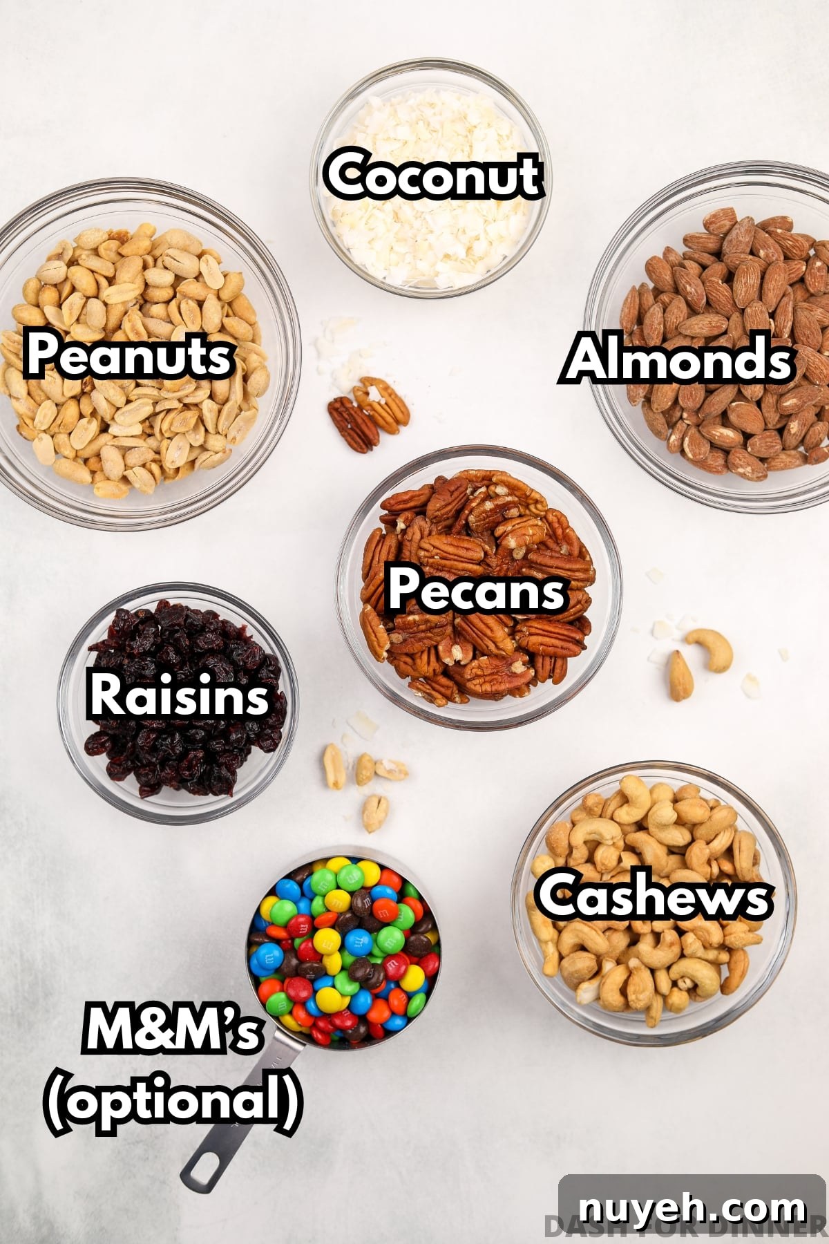 The ingredients needed to make trail mix: pecans, almonds, cashews, raisins, coconut, m&m's.