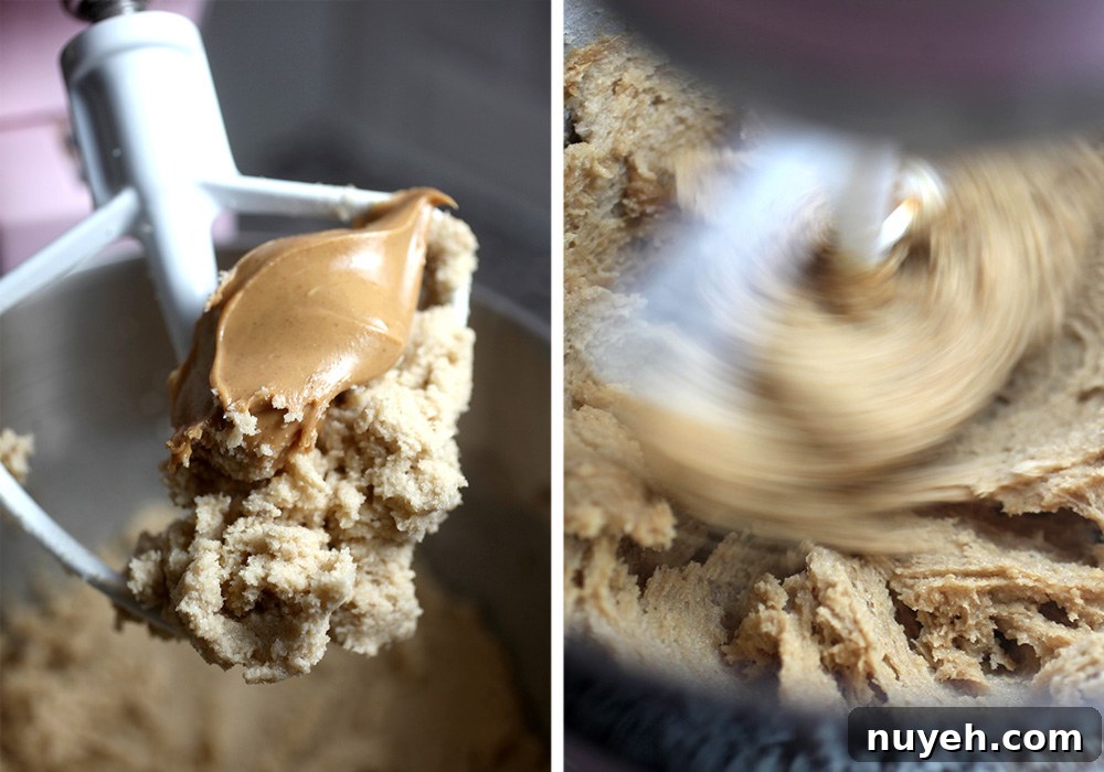 Cookie Dough