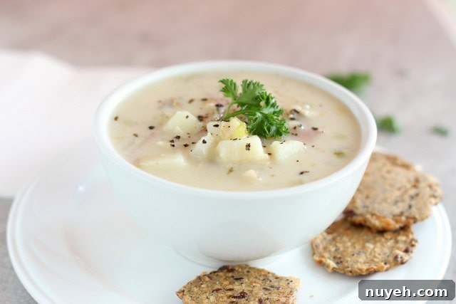 Healthy clam chowder made with goat milk